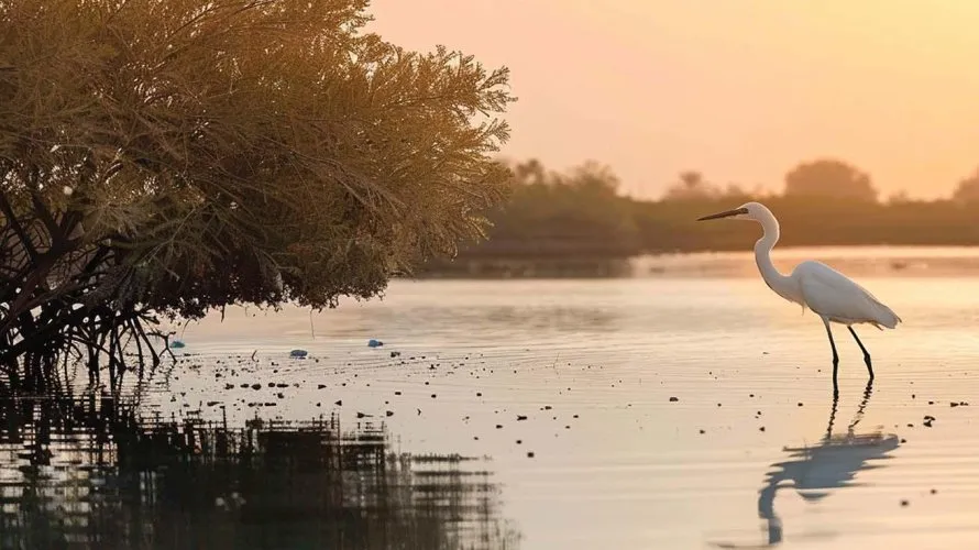 4 غرف نوم تاون هاوس في Mina Al Arab, الإمارات العربية المتحدة رقم 1095 № 6