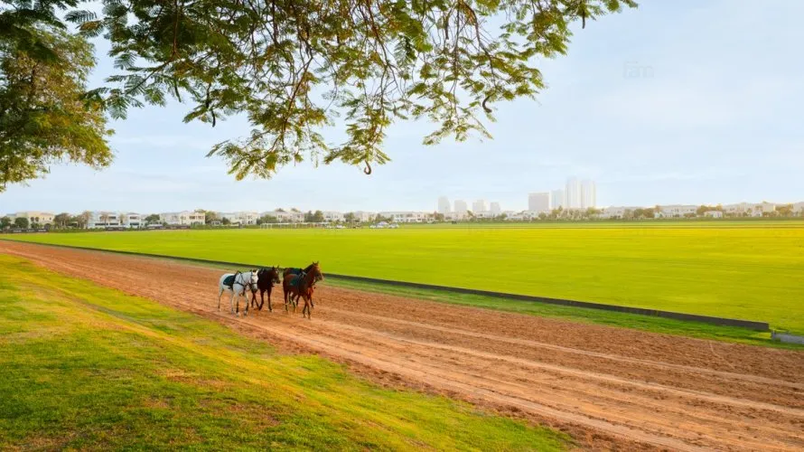 6 غرفة نوم  فيلا في دبي, الإمارات العربية المتحدة رقم 1343 № 13