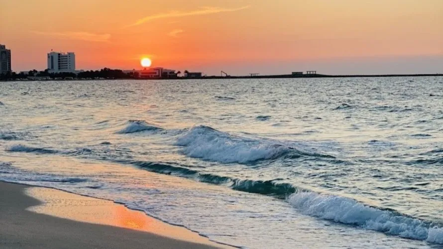 5 غرفة نوم  فيلا في Al Zorah, الإمارات العربية المتحدة رقم 888 № 27