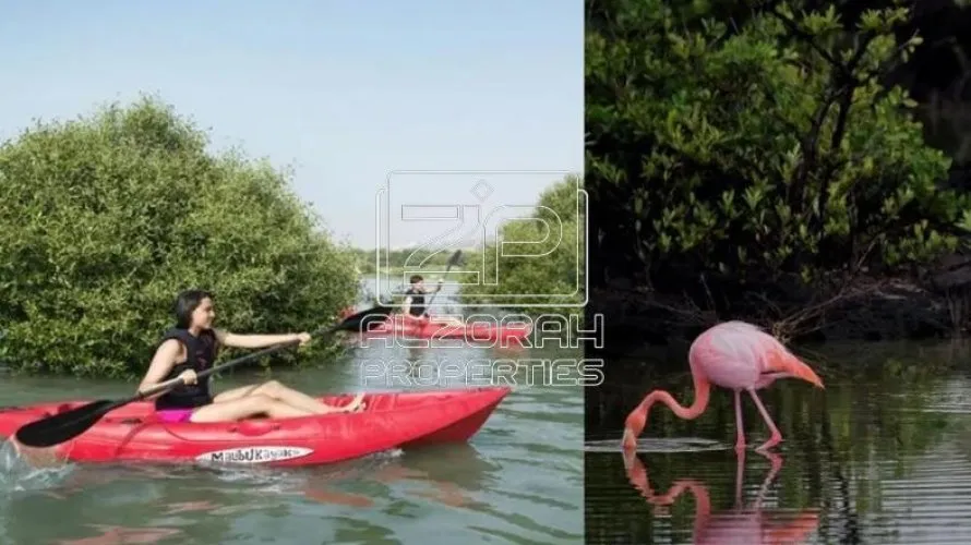 5 غرفة نوم  فيلا في Al Zorah, الإمارات العربية المتحدة رقم 654 № 16