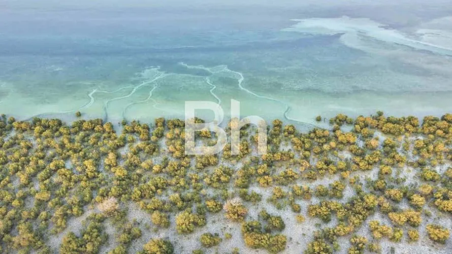 Villa de 5 dormitorios en Abu Dhabi, UAE No. 952