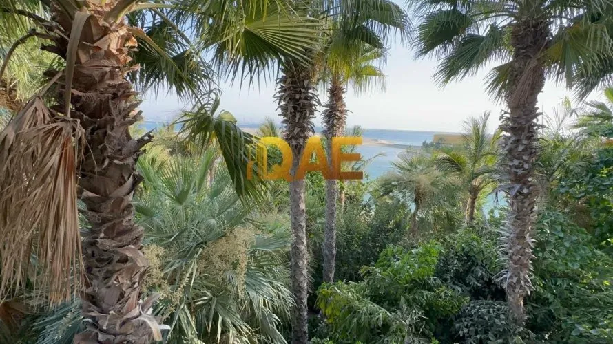 Villa de 7 dormitorios en The World Islands, UAE No. 175 № 8