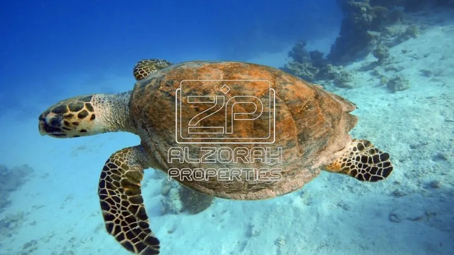 Villa de 5 dormitorios en Al Zorah, UAE No. 654 № 31