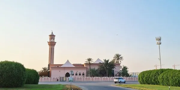 Meydan № 5