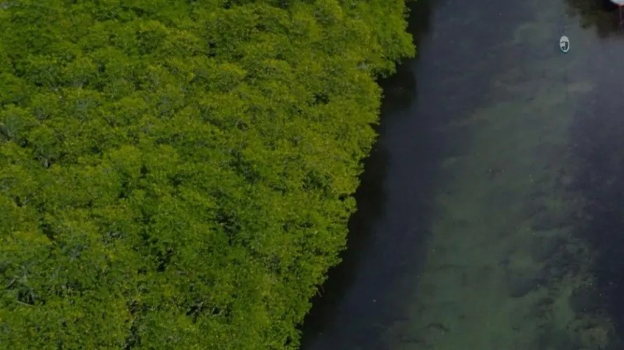 Villa de 5 chambres à Al Zorah, UAE No. 888 № 18