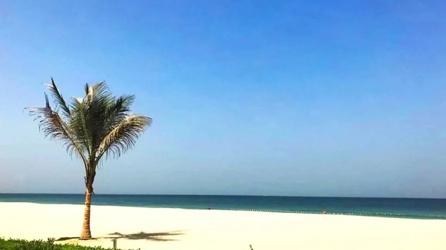 Villa de 4 chambres à Al Zorah, UAE No. 2227 № 22