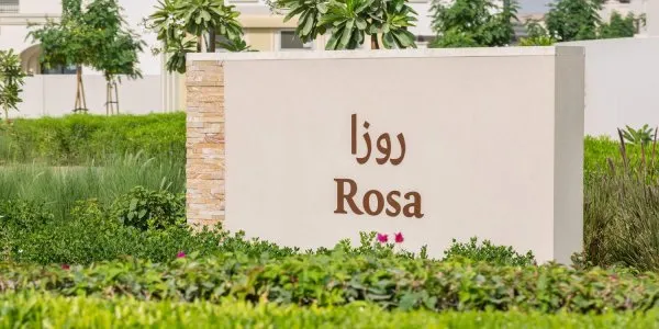 Rosa № 5