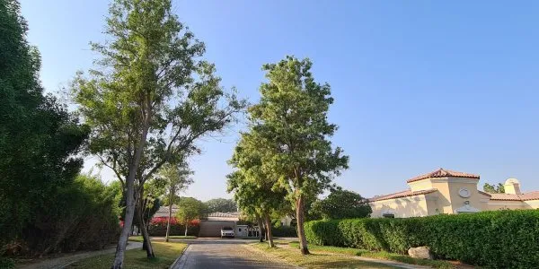 Green Community West № 1