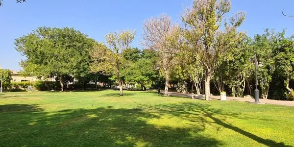 Green Community Motor City № 2