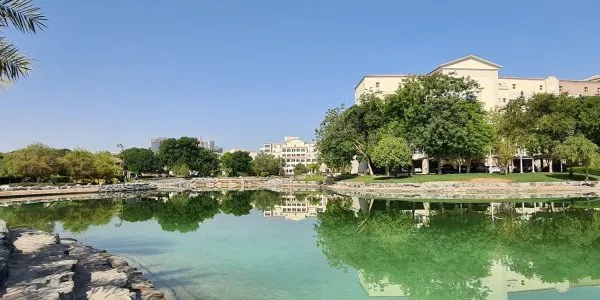 Green Community Motor City № 6