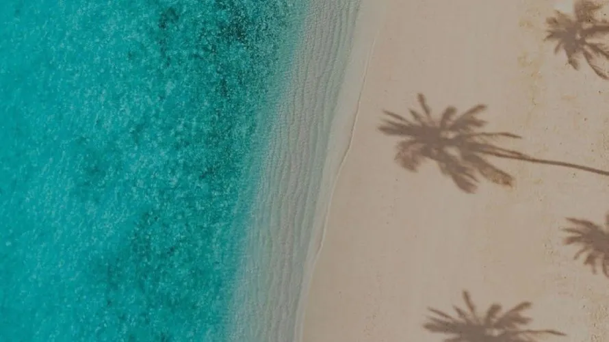 Вилла с 5 спальнями в  Al Zorah, Аджман, ОАЭ №888 № 16