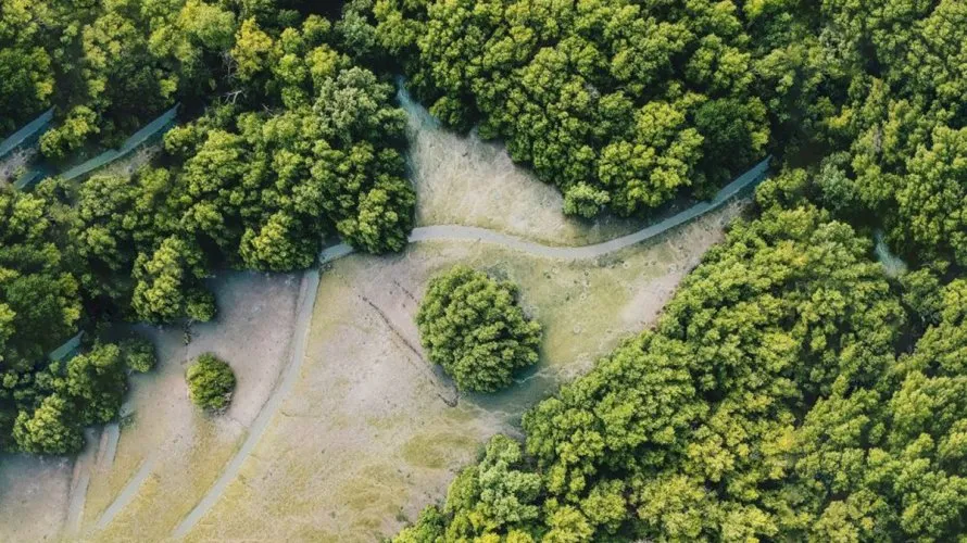 Вилла с 5 спальнями в  Умм-эль-Кайвайн, ОАЭ №879 № 24