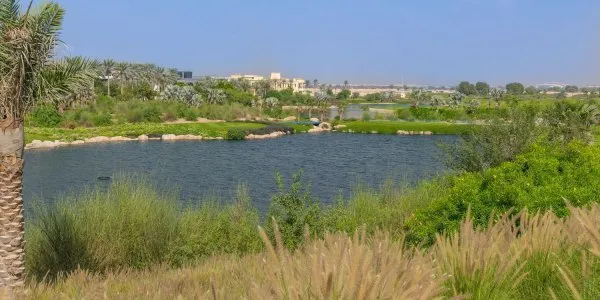 Dubai Hills Grove № 8