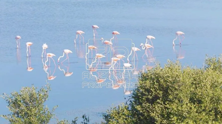 5 bedrooms villa for sale , Al Zorah, Ajman, UAE No. 654 № 32