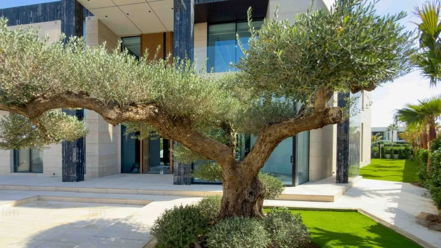 6 bedrooms villa for sale , Dubai Hills Estate, Dubai, UAE No. 977 № 18