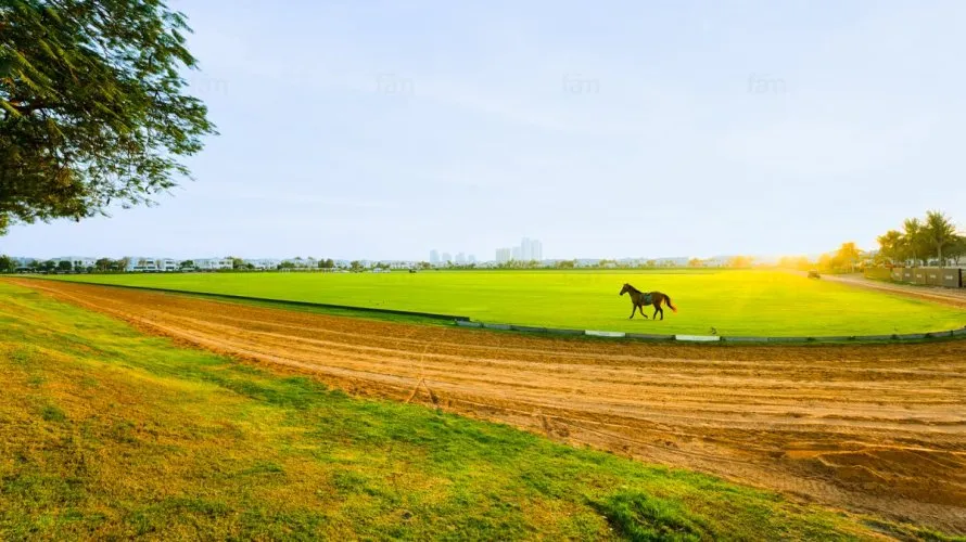 6 bedrooms villa for sale , Dubai, UAE No. 1343 № 14