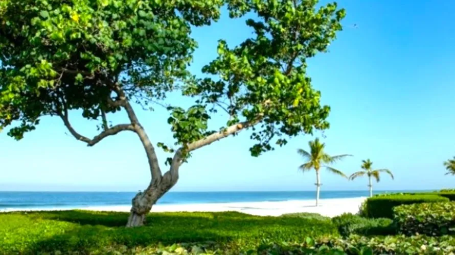 5 bedrooms villa for sale , Al Zorah, Ajman, UAE No. 888 № 8