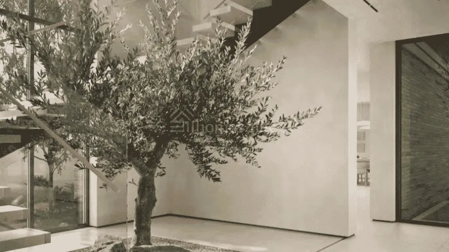 6 bedrooms villa for sale , Dubai Land, Dubai, UAE No. 1701 № 8