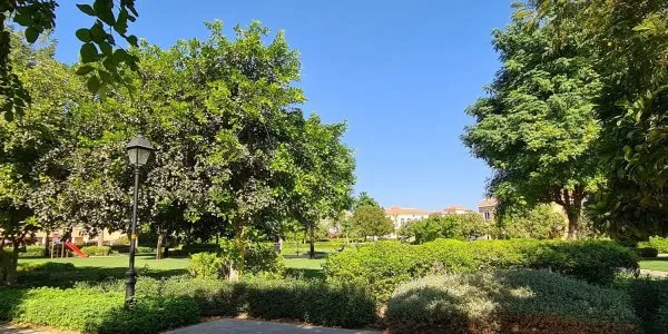 Hacienda № 8